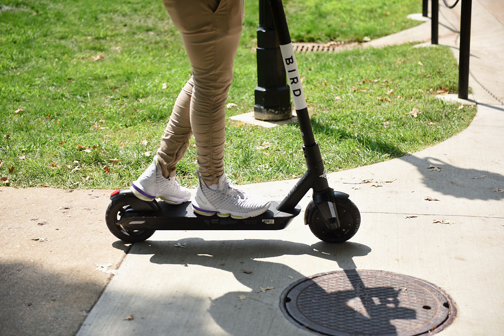 Student check out a bird for on-campus transportation at the University of Missour